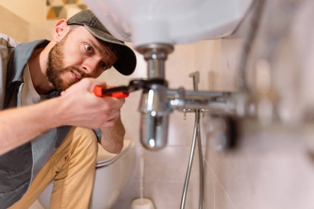 Best Water Softener Installation  in Inesville, GA
